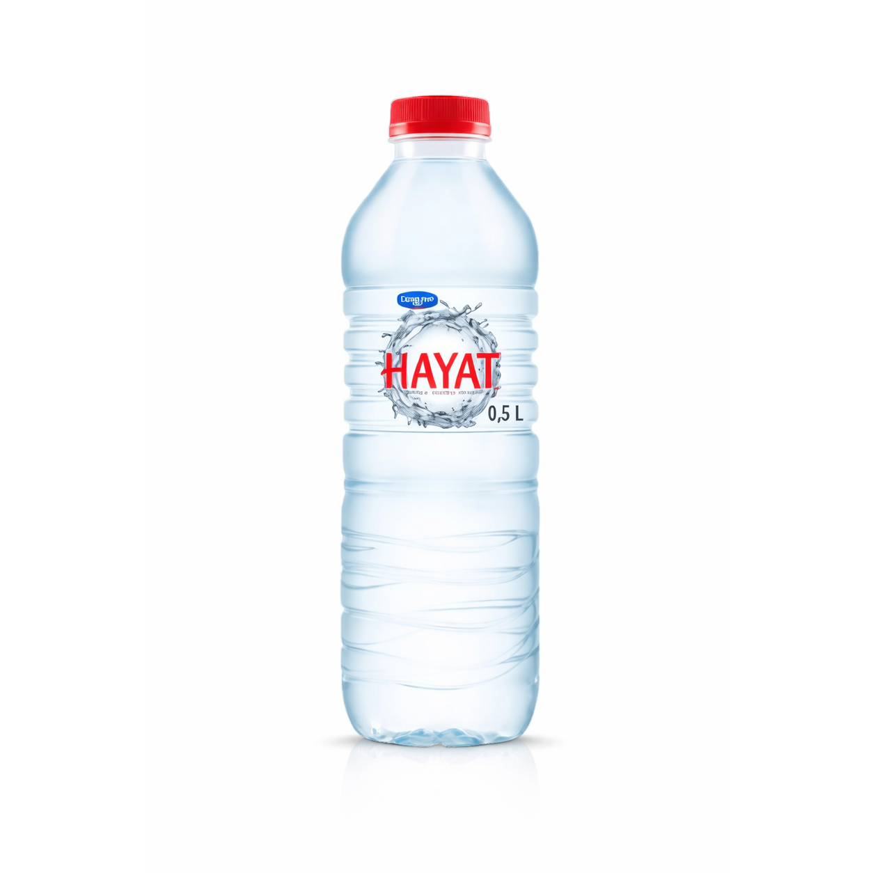 HAYAT WATER 24X500ML