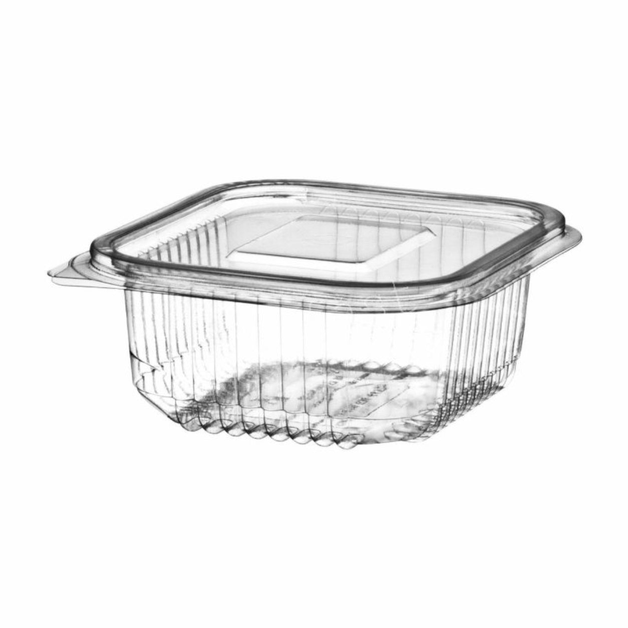 250CC HINGED CLEAR PLASTIC CONTAINERS