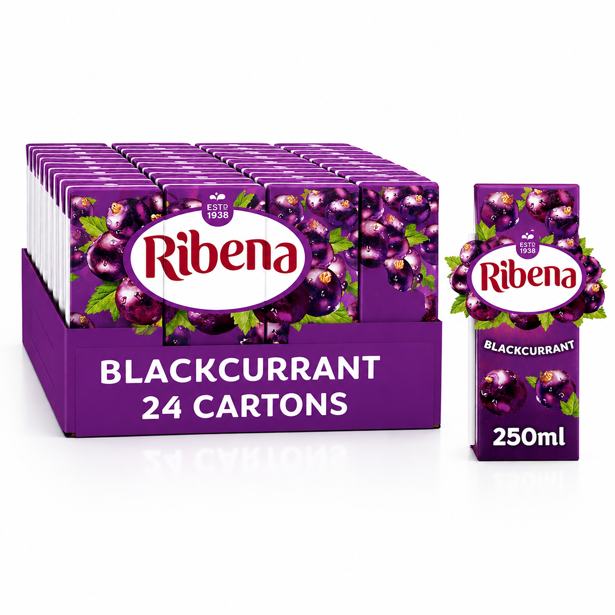 RIBENA BLACKCURRANT 24X250ML