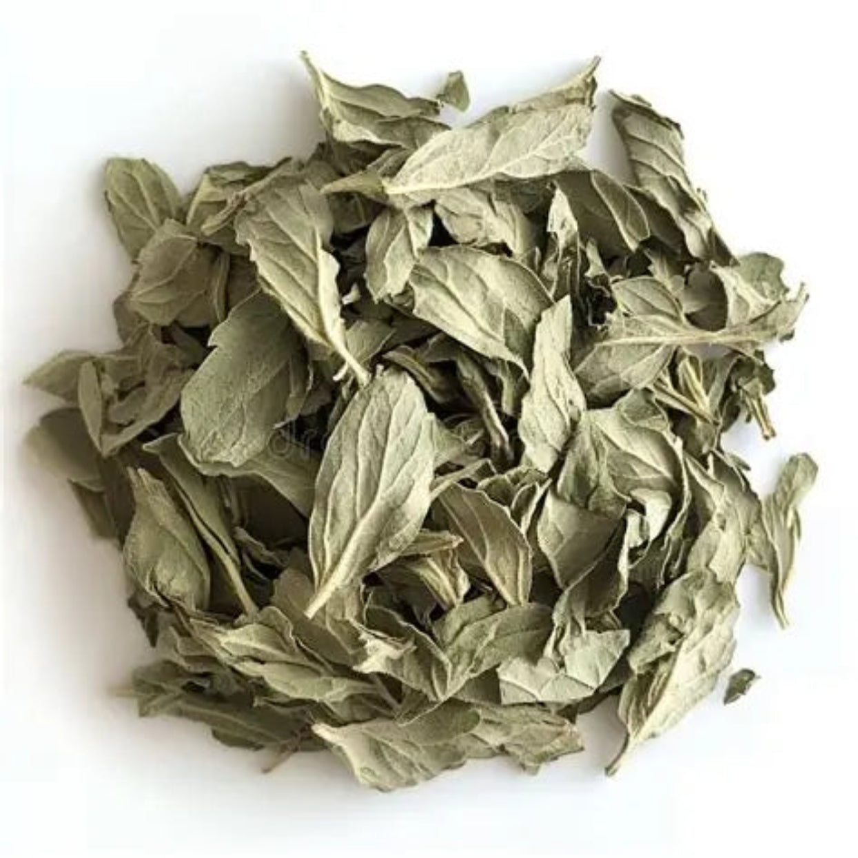 DRY MINT - 1KG