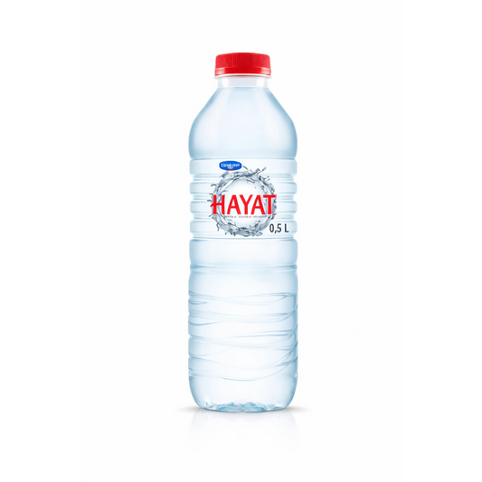 HAYAT WATER 24X500ML