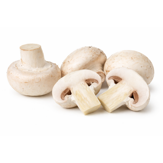 MUSHROOMS BOX